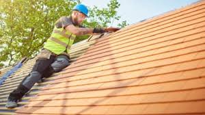 Best Roof Moss and Algae Removal  in Vado, NM