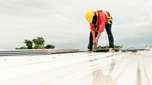 Best Sheet Metal Roofing  in Vado, NM